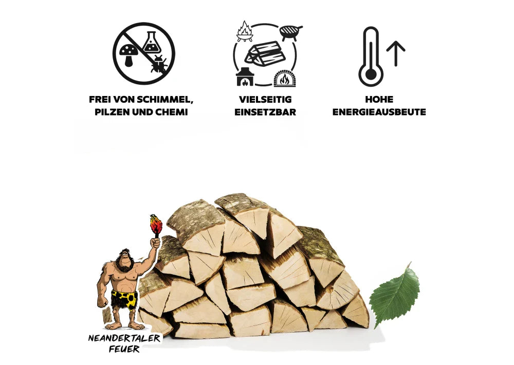 Brennholz Hainbuche 1RM Box 25 cm