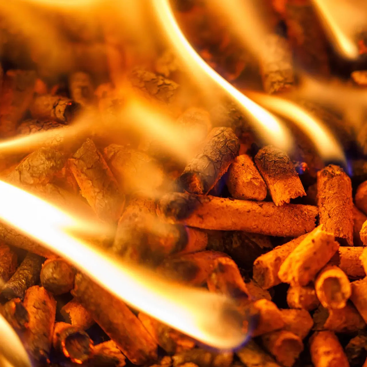 Premium REKORD Pellets A1, Sackware auf Palette (66 x 15 kg)